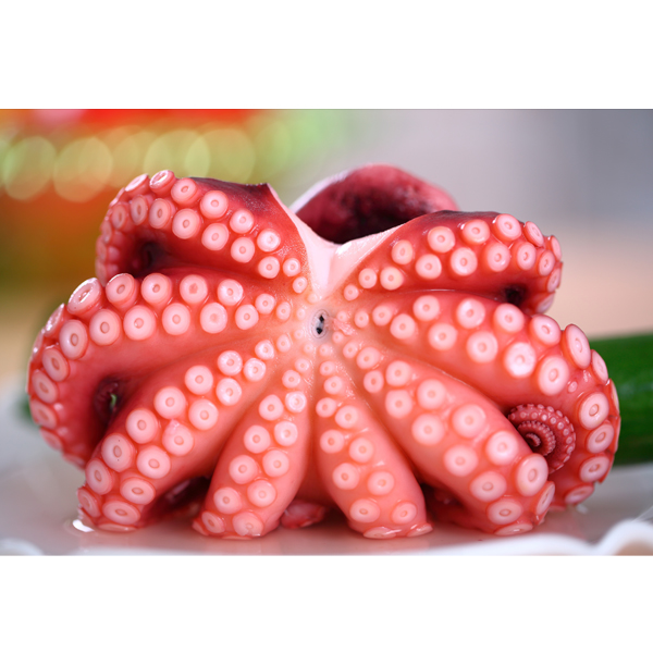 FROZEN BOILED OCTOPUS